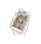 柴犬ハルver6（個別スタンプ：18）