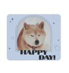 柴犬ハルver6（個別スタンプ：19）