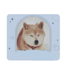 柴犬ハルver6（個別スタンプ：23）