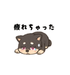 黒柴ちゃんの絵文字（個別スタンプ：6）