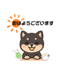 黒柴ちゃんの絵文字（個別スタンプ：7）