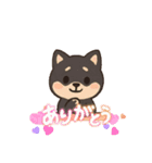 黒柴ちゃんの絵文字（個別スタンプ：10）