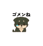 黒柴ちゃんの絵文字（個別スタンプ：11）