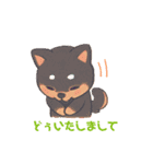 黒柴ちゃんの絵文字（個別スタンプ：12）