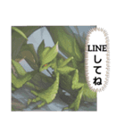 お出まし大怪獣 昆虫タイプ（個別スタンプ：23）