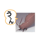 お出まし大怪獣 昆虫タイプ（個別スタンプ：38）