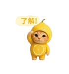果物を着た猫（個別スタンプ：2）