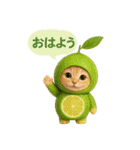 果物を着た猫（個別スタンプ：5）