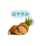 果物を着た猫（個別スタンプ：7）