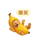 果物を着た猫（個別スタンプ：25）