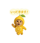 果物を着た猫（個別スタンプ：26）