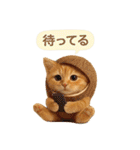 果物を着た猫（個別スタンプ：32）