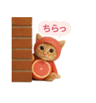 果物を着た猫（個別スタンプ：33）