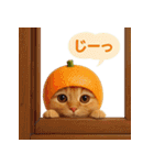 果物を着た猫（個別スタンプ：34）