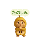 果物を着た猫（個別スタンプ：40）
