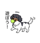 名前入りダックスブラタンパイボールド（個別スタンプ：1）