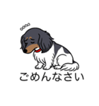 名前入りダックスブラタンパイボールド（個別スタンプ：2）