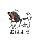 名前入りダックスブラタンパイボールド（個別スタンプ：3）