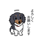 名前入りダックスブラタンパイボールド（個別スタンプ：4）