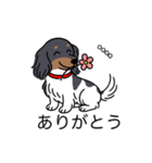 名前入りダックスブラタンパイボールド（個別スタンプ：5）