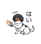 名前入りダックスブラタンパイボールド（個別スタンプ：6）