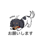 名前入りダックスブラタンパイボールド（個別スタンプ：7）