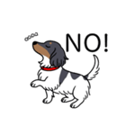 名前入りダックスブラタンパイボールド（個別スタンプ：8）