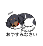 名前入りダックスブラタンパイボールド（個別スタンプ：9）