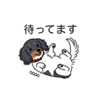 名前入りダックスブラタンパイボールド（個別スタンプ：10）