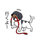 名前入りダックスブラタンパイボールド（個別スタンプ：11）