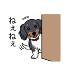 名前入りダックスブラタンパイボールド（個別スタンプ：12）