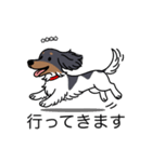 名前入りダックスブラタンパイボールド（個別スタンプ：13）