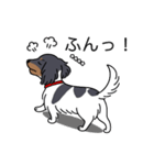 名前入りダックスブラタンパイボールド（個別スタンプ：14）