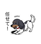 名前入りダックスブラタンパイボールド（個別スタンプ：15）