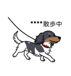 名前入りダックスブラタンパイボールド（個別スタンプ：17）