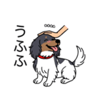 名前入りダックスブラタンパイボールド（個別スタンプ：19）