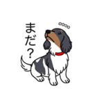 名前入りダックスブラタンパイボールド（個別スタンプ：20）