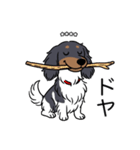 名前入りダックスブラタンパイボールド（個別スタンプ：21）