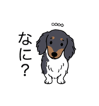 名前入りダックスブラタンパイボールド（個別スタンプ：22）