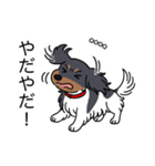 名前入りダックスブラタンパイボールド（個別スタンプ：23）