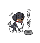 名前入りダックスブラタンパイボールド（個別スタンプ：24）