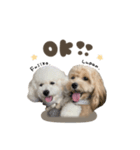ルパンくん.不二子ちゃんスタンダード（個別スタンプ：1）