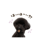 プティちゃん.ミニョンくんmix（個別スタンプ：3）