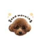 プティちゃん.ミニョンくんmix（個別スタンプ：5）