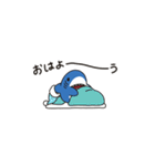 関西弁のええサメ、"ちいサメ"シャーくん！（個別スタンプ：17）