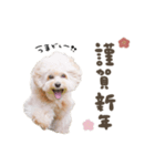 Event stamp 2026（個別スタンプ：1）