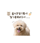Event stamp 2026（個別スタンプ：7）