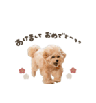 Event stamp 2026（個別スタンプ：10）