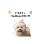 Event stamp 2026（個別スタンプ：11）
