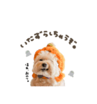 Event stamp 2026（個別スタンプ：12）